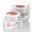 Gel Colorat UV Felicia