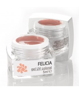 Gel Colorat UV Felicia