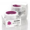 Gel Colorat UV Gianina