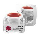 Gel UV Colorat Anca