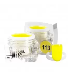 Gel colorat, 5 ml, cod 113