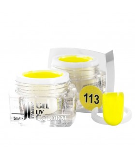 Gel colorat, 5 ml, cod 113