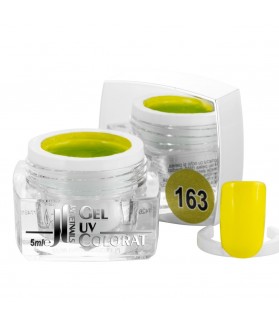 Gel colorat, 5 ml, cod 163