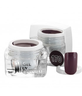 Gel colorat, 5 ml, cod 170